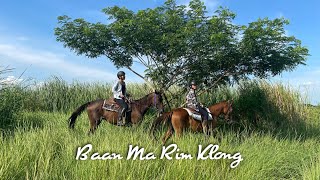 Blinky’s Horse Trail Ride: Baan Ma Rim Klong Patumthani ขี่ม้าเทรลบ้านม้าริมคลอง ปทุมธานี 🤩