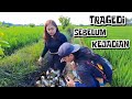 Berburu Dan Mengolah Kerang Kijing Hasil Pencarian Di Rawa Persawahan