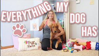 Full Tour Of Everything My Dog Has | Everything We Have Gotten Our Puppy