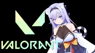 【VALORANT】唐突でごめんコンペ行くよ【＃雪村Lily/＃新人Vtuber】