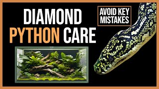 Diamond Python Care Guide: Avoid These Mistakes!