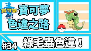 寶可夢劍盾【色違之路】#34【綠毛蟲】進化+圖鑑展示『Pokemon Sword』