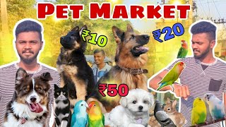 Salem pet market| சேலம் செவ்வாய் சந்தை,Maniyanur  sandai மணியனூர் #petmarket #lovebirds