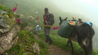 Mit dem Esel durch die Pyrenäen - Ökotourismus in Frankreich