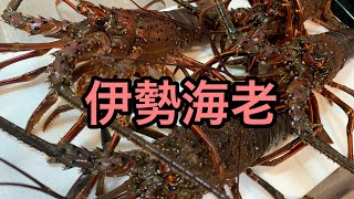 【第25尾目】凄まじい生命力の伊勢海老を捌く！