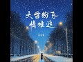 大雪纷飞情难追