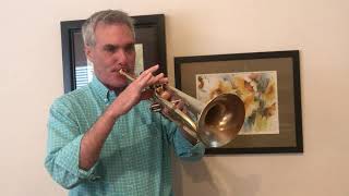 Playing Monette Bb B993 Trumpet For Sale $6750