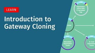 Gateway Cloning Explained: How It Works and When to Use It