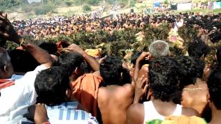 Kumbakonam Kavadi 23