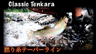 テーパーライン　テンカラ　Tenkara with furled taper line