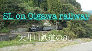 【4K空撮】大井川鐵道はSLと旧型車両の宝庫！