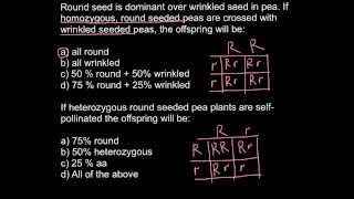 Simple Mendelian genetics crossings