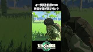 【ティアキン】イーガ団を倒す殺意MAXリンク【ゼルダの伝説 ティアーズ オブ ザ キングダム】