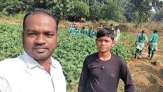 prhs kudasingha agriculture industry visit