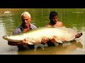 Jeremy Wade - Pesca Um Grande Pirarucu (Arapaima) Monstros Do Rio