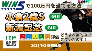 【WIN5で100万円：感想戦編】 2023年9月3日（日）小倉2歳S・新潟記念