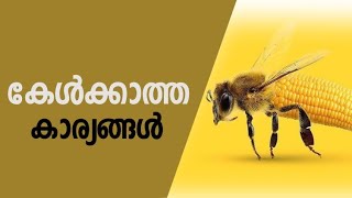 നിങ്ങൾ കേൾക്കാത്ത ചില കാര്യങ്ങൾ | did you know? | facts In malayalam