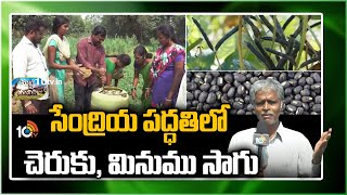 సేంద్రియ పద్ధతిలో  చెరుకు, మినుము సాగు | Matti Manishi | 10TV