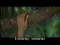 Illapu - Volaras (Evi Reyes)