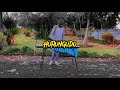 Hurungudo Jah Prayzah Marimba cover #365days day 147