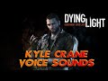 dying light kyle crane all voice sounds