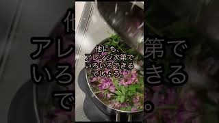 レンゲソウは春のマメ科の青菜として最高、外来種なので駆除も兼ねて美味しく食べましょう。