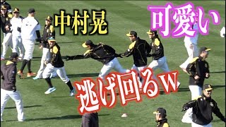 なんの練習!?少年の様に逃げ回る中村晃が可愛いw