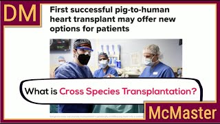 Recent Breakthroughs in Xenotransplantation