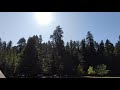 9 19 2019 Drive Thru Tree Park Leggett California USA Drone View