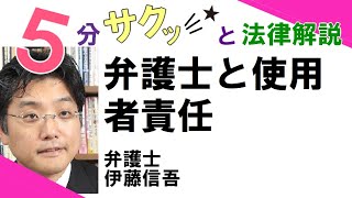 相模原 橋本駅前／弁護士相談TV(26)  弁護士と使用者責任