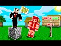 AKU PAKSA YOUTUBER INI IKUT TANTANGAN MINECRAFT TAPI KALO SENTUH WARNA HIJAU LANGSUNG DIDOR MATI !!!