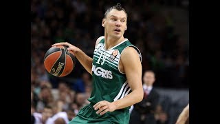 Sarunas Jasikevicius - passing masterclass 2013-14 Zalgiris season