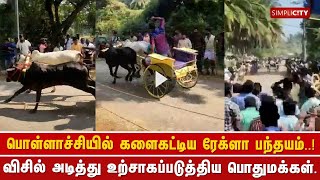 பொள்ளாச்சியில் களைகட்டிய ரேக்ளா பந்தயம்..! விசில் அடித்து உற்சாகப்படுத்திய பொதுமக்கள்.