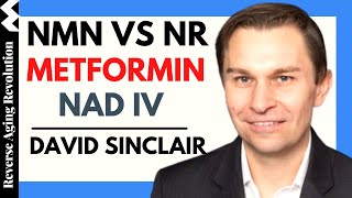 DAVID SINCLAIR “NMN vs NR, Metformin & NADIV Therapy” | Dr David Sinclair Interview Clips