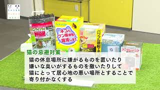 猫にお困りの方へ～忌避対策グッズ紹介～