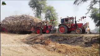 Belarus Tractor Fail On Ramp & MF 260 Tractor And MTZ Tractor | Tractor Stuck In Mud