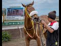 JAMAICA RACING: Joy Is Golden Shines In Sun, June 2, 2024, Nightcap