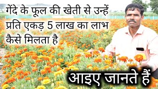 कैसे उसे गेंदे की खेती से प्रति एकड़ 5 लाख का लाभ मिलता है, आइए जानते हैं || marygold farming,