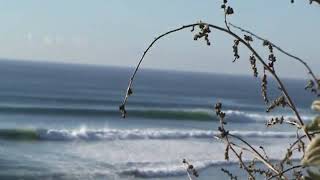 swamis surf 2018 classic big glassy December California pointbreak surfing crowded Encinitas