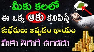 మీకు కలలో ఈ ఒక్క ఆకు కనిపిస్తే కుభేరులు అవ్వడం ఖాయం మీకు తిరుగే ఉండదు