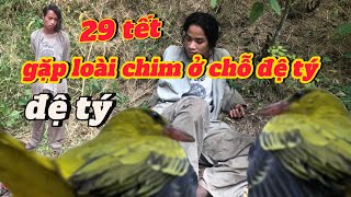 29 Tết gặp chim lạ ở chỗ đệ tý p38