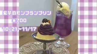 【立教大学学園祭】地域活性化企画 SUNNYDAYS pudding cafe紹介動画