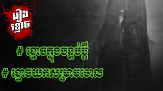 រឿងពិតខ្លី ២ទៀតហើយ ផ្ញើមកពីប្រិយមិត្ត | Another 2 Fan's Ghost Stories | Khmer Ghost Story