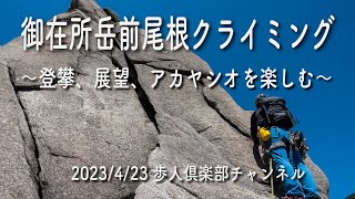 藤内壁前尾根でクライミング2023年4月23日　御在所岳　マルチピッチクライミング　アカヤシオ