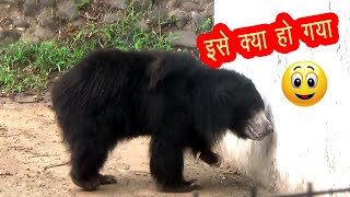 Zoological Park I  Chhatbir Zirakpur Chandigarh I Banur Chhat bir 2021