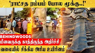 'மீனுக்கு விரிச்ச வலை'.. சிக்கிய அதிசய உயிரினம்..! அதிர்ச்சியில் உறைந்த  மீனவர்கள்