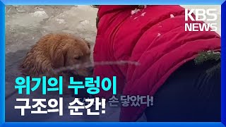 [오늘의 영상] 얼어붙은 호수에 빠진 누렁이 구출작전 / KBS  2023.01.05.