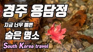 천도교의 성지가 이렇게 예뻤구나 / 경주 가을 가볼만한곳  / 10, 11월에 가면 좋은 가을 여행지