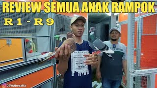 MAIN KE KANDANG MERPATI CHOCOLATE NEW RAMPOK BEKASI