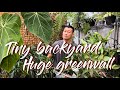 How I Transform A TINY Backyard Into A Vertical Garden!